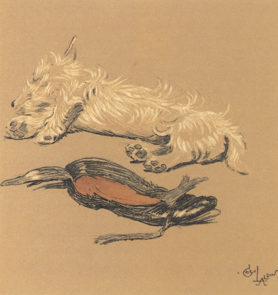 Mac 1912 Exhausted Canvas Art - Cecil Aldin (18 x 24)