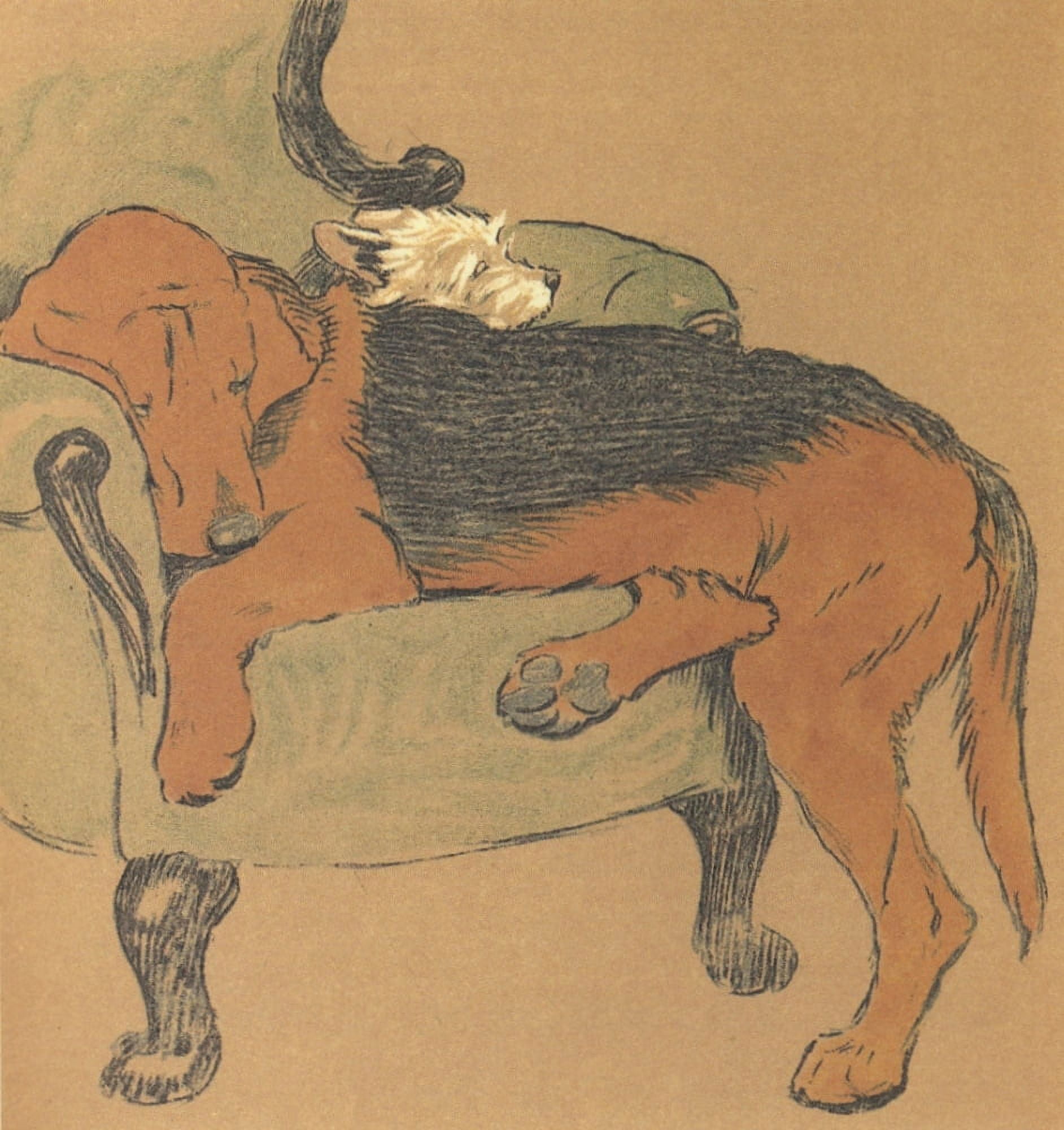 Mac 1912 Let sleeping dogs lie Canvas Art - Cecil Aldin (18 x 24)