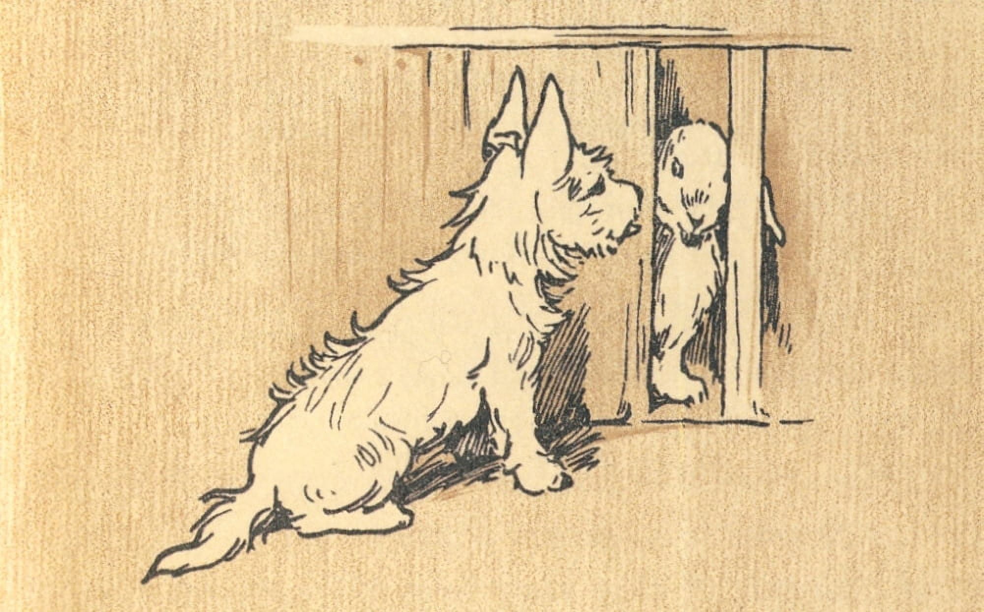 Mac 1912 Peering in the rabbit hutch Canvas Art - Cecil Aldin (24 x 36)