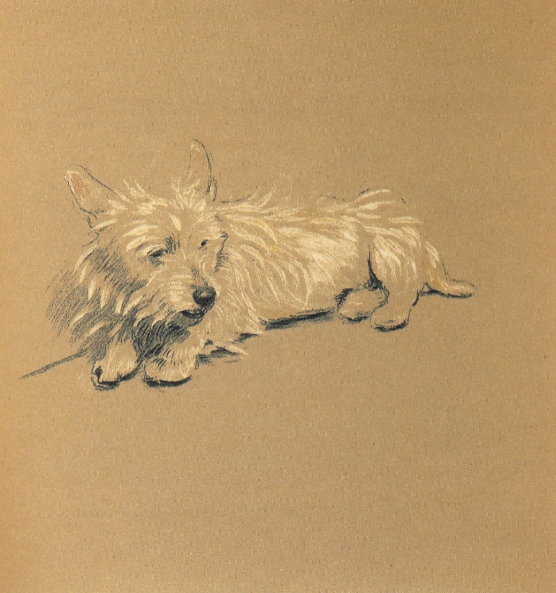 Mac 1912 Quiet moment Canvas Art - Cecil Aldin (24 x 36)