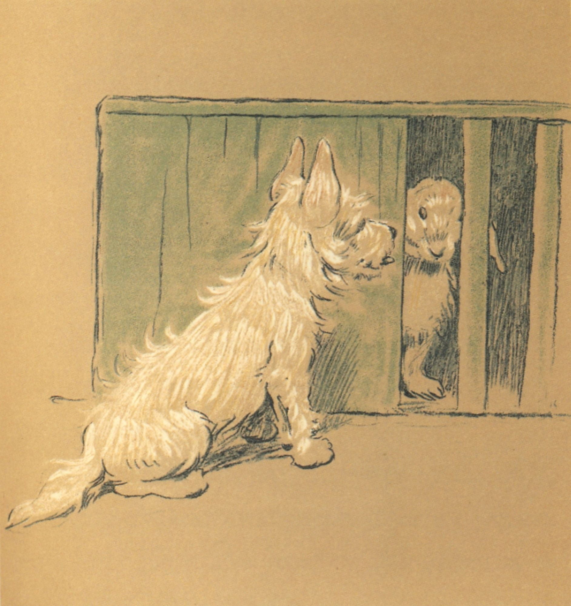 Mac 1912 Rabbit in cage Canvas Art - Cecil Aldin (18 x 24)