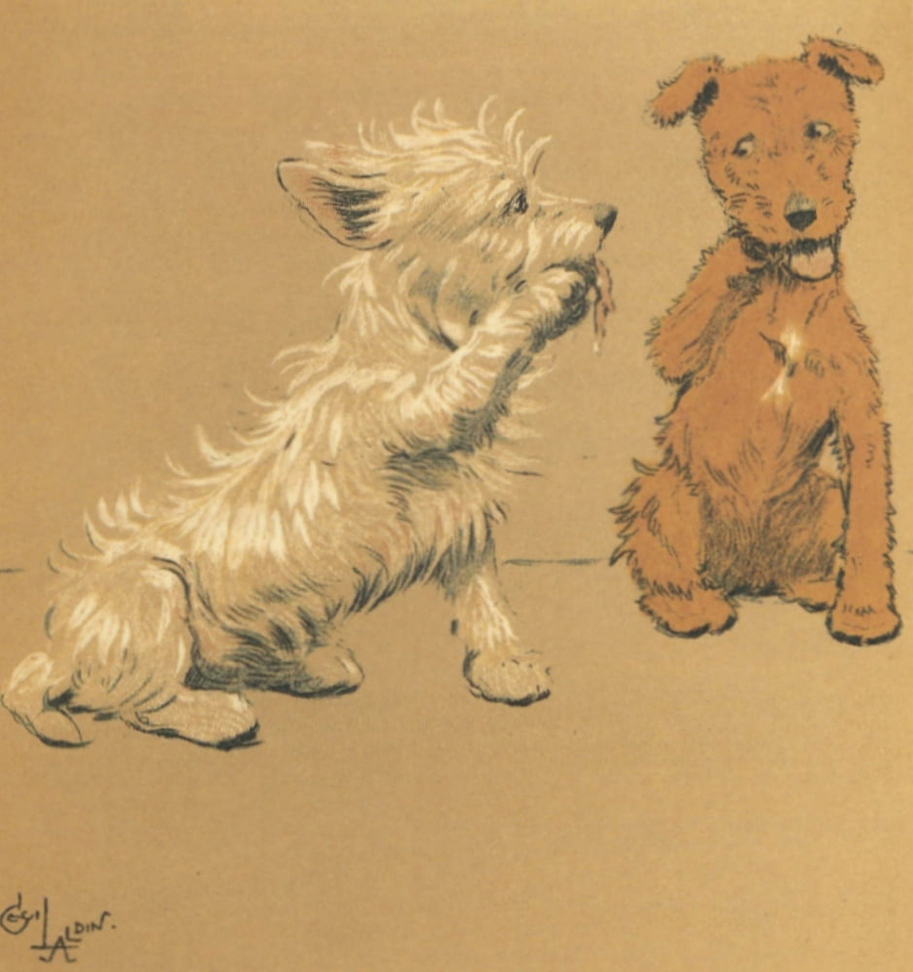 Mac 1912 Secrets Canvas Art - Cecil Aldin (24 x 36)