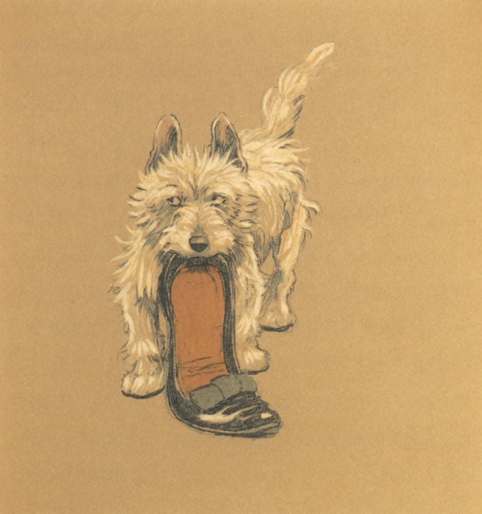 Mac 1912 Slipper Canvas Art - Cecil Aldin (18 x 24)