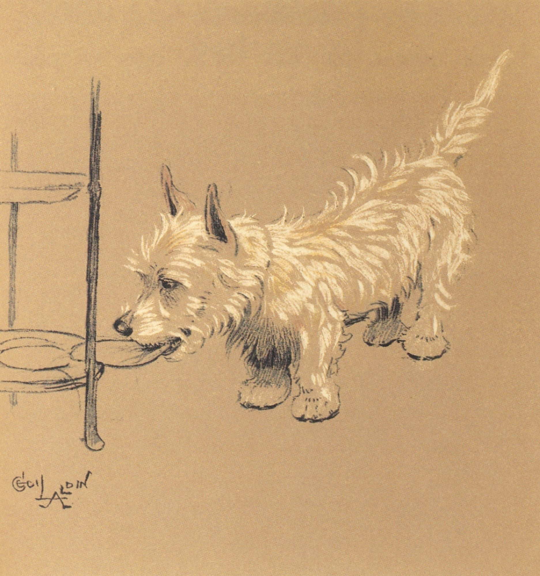Mac 1912 Stealing Canvas Art - Cecil Aldin (18 x 24)
