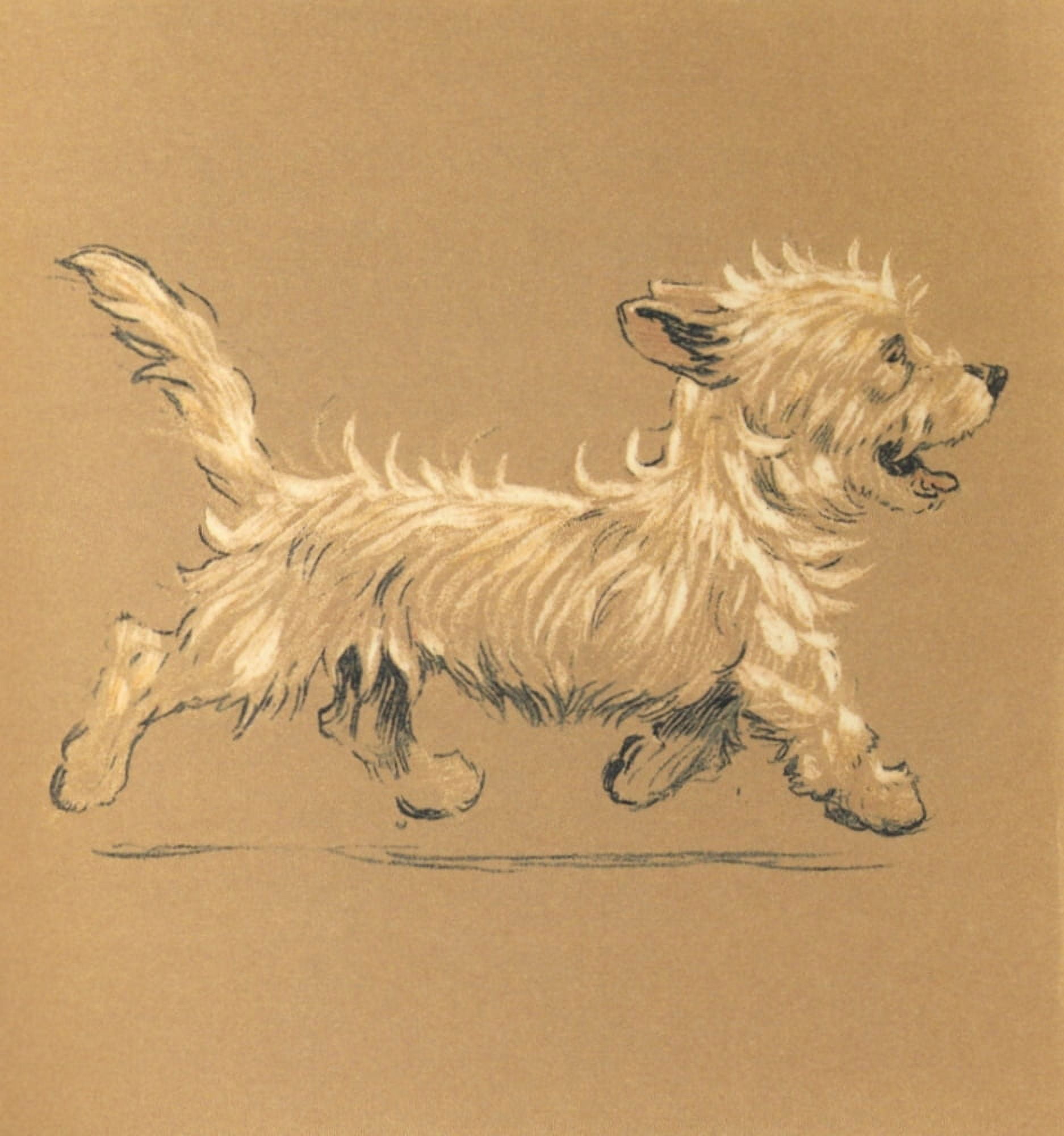 Mac 1912 Trotting along Canvas Art - Cecil Aldin (18 x 24)