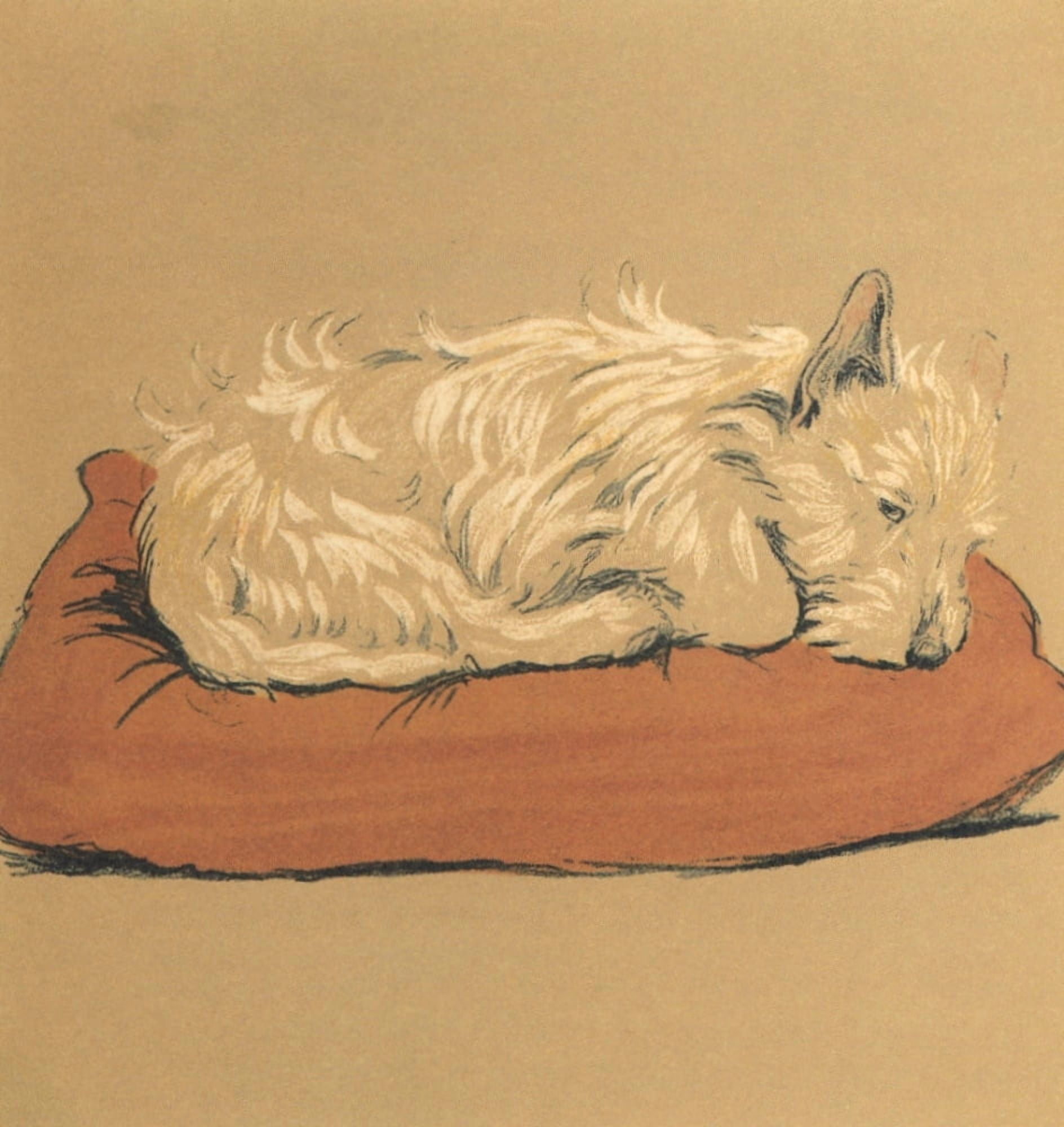 Mac 1912 Trying to sleep Canvas Art - Cecil Aldin (18 x 24)