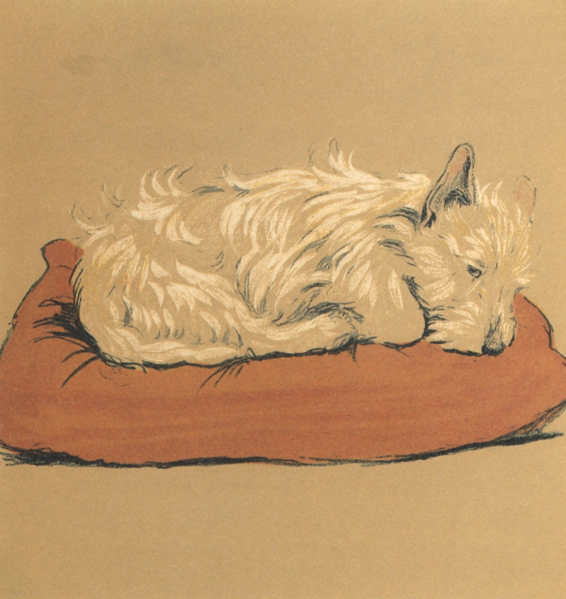 Mac 1912 Trying to sleep Canvas Art - Cecil Aldin (24 x 36)