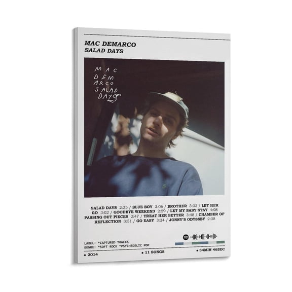 Mac DeMarco Salad Days Poster 6 Wall Art Poster Scroll Canvas Painting Picture Living Room Decor Home 24x36inch(60x90cm)