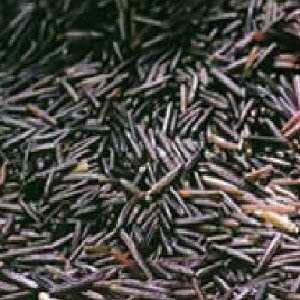 Mac Dougall's Wild Rice (1x25LB ) - Walmart.com