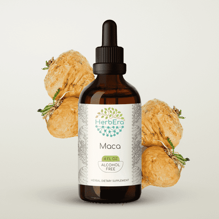 HerbEra Maca Tincture, Herbal Dietary Supplement for Energy Support, Maca (Lepidium meyenii) Dried Root Extract, Natural, Alcohol-Free, Drops 4 oz