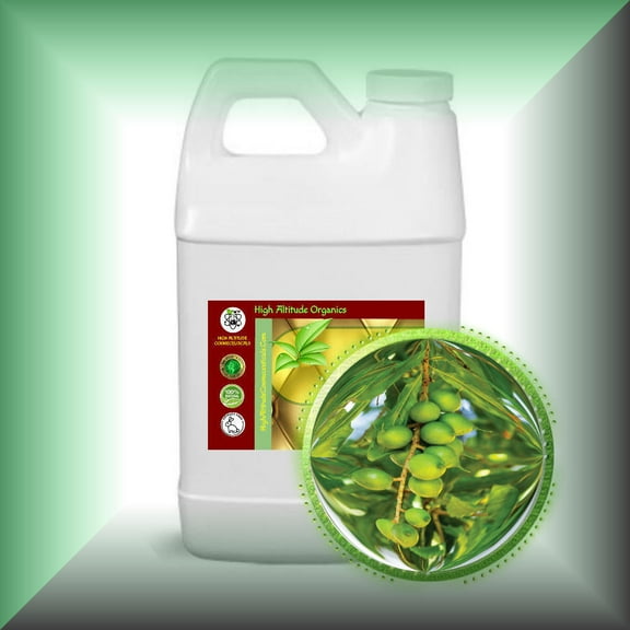 Macadamia Nut Oil - Virgin