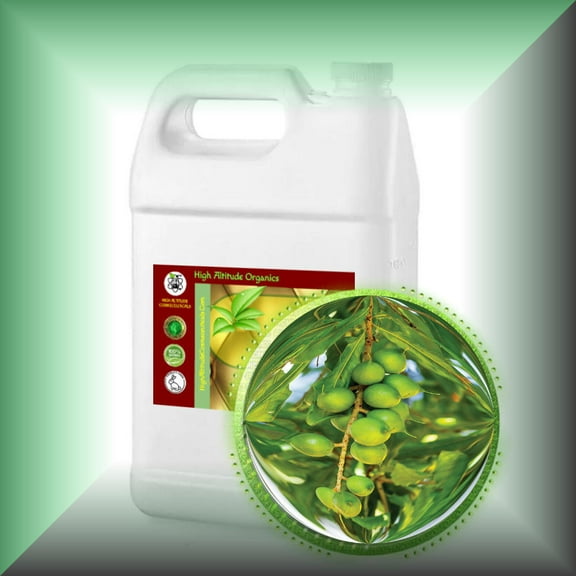 Macadamia Nut Oil - Virgin