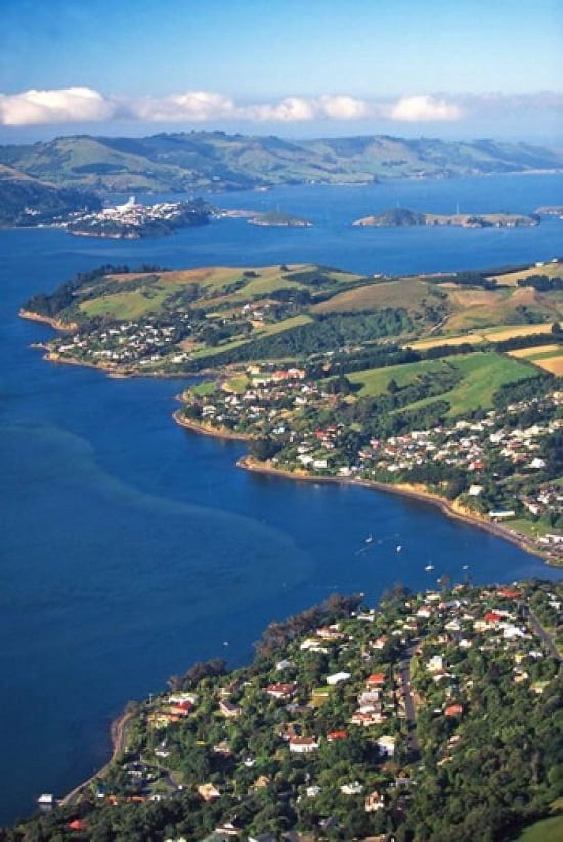 Macandrew Bay Otago Harbor Dunedin New Zealand Canvas Art - David Wall DanitaDelimont (18 x 24)