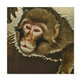 thumbnail image 1 of Macaque in Neoclassicism - Canvas, 1 of 10