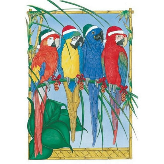 Macaw Holiday Bird Christmas Boxed Cards - Pack of 10