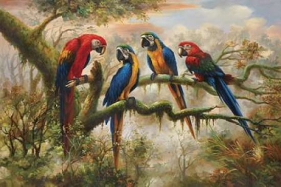 Macaw Morning Canvas Art - Charles (12 x 18)