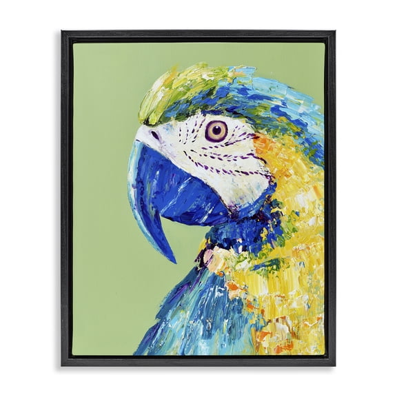 Stupell Industries Macaw Parrot on Green Black Framed Floater Canvas Wall Art, design by Jennifer Seeley, 21 x 17