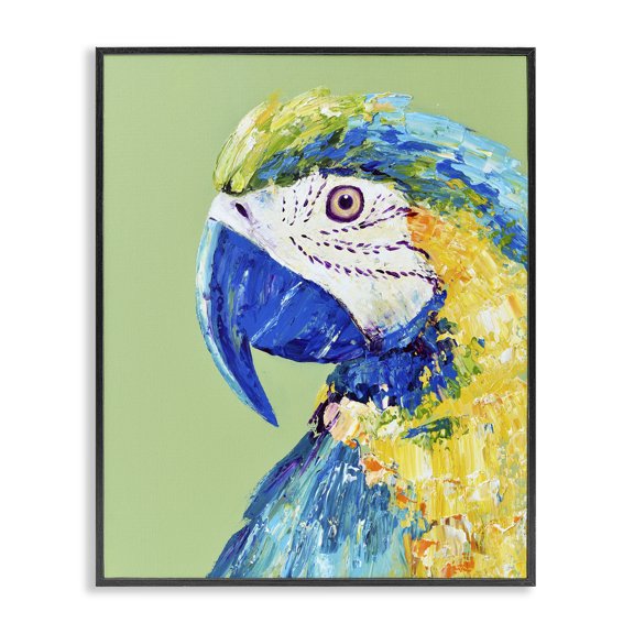 Stupell Industries Macaw Parrot on Green Black Framed Giclee Art, design by Jennifer Seeley, 14 x 11