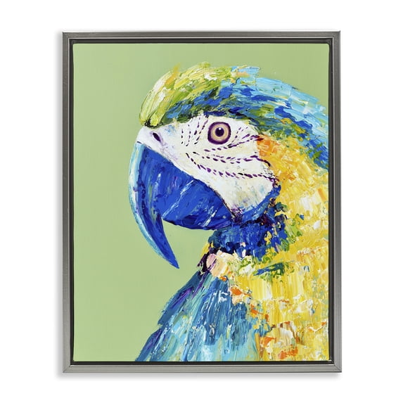 Stupell Industries Macaw Parrot on Green Gray Framed Floater Canvas Wall Art, design by Jennifer Seeley, 31 x 25