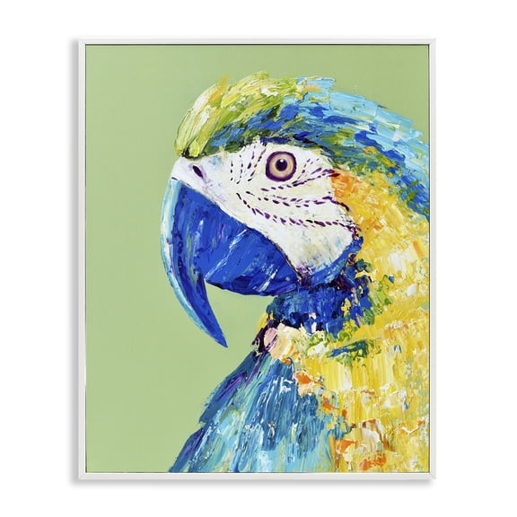 Stupell Industries Macaw Parrot on Green White Framed Giclee Art, design by Jennifer Seeley, 14 x 11