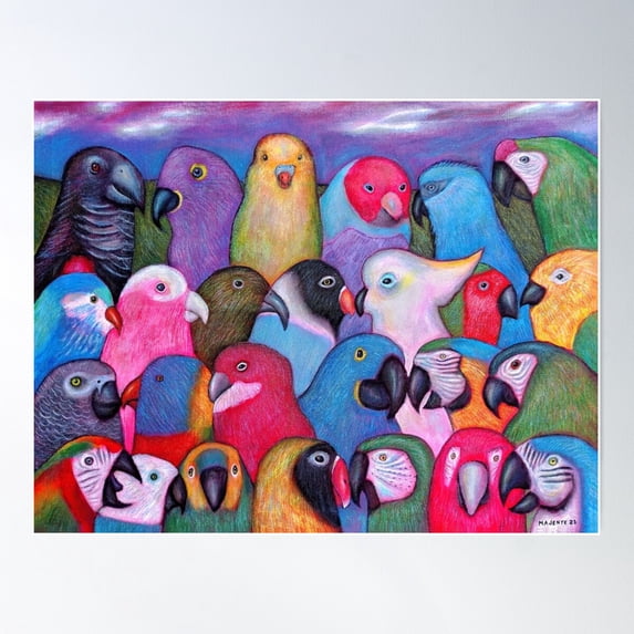 Macaws, Parrots And Parakeets Poster Wall Art, Modern Wall Decor For ...