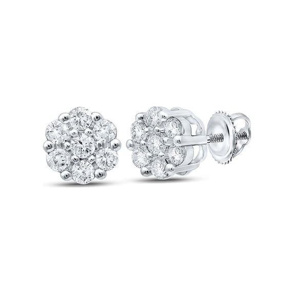 Macey Worldwide Jewelry 10k White Gold Diamond Flower Earrings 1/5 Ctw