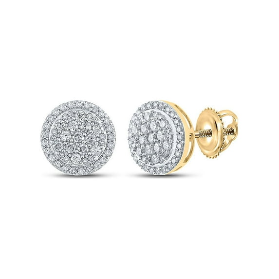 Macey Worldwide Jewelry 10k Yellow Gold Diamond Earrings 3/4 Ctw