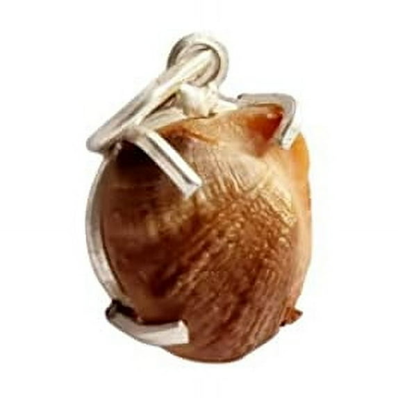Machh Mani Sea Stone Lab Certified With German Silver Locket Reduces And Removes Rahu Impact Brown-B09SZ4
