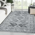 thumbnail image 1 of Machine Washable Persian Indoor Area Rugs Vintage Distressed Thin Rug Non Slip Carpet for Living Room Kitchen Dining Room (5x7, Gray), 1 of 8