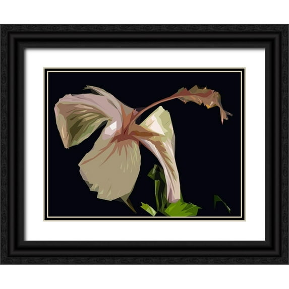 Mack 18x15 Black Ornate Wood Framed with Double Matting Museum Art Print Titled - Cameo Hibiscis