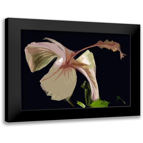 Mack 24x19 Black Modern Framed Museum Art Print Titled - Cameo Hibiscis