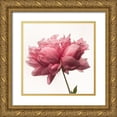 thumbnail image 1 of Maclean, Leah 15x15 Gold Ornate Wood Framed with Double Matting Museum Art Print Titled - Portrait of a Peony, 1 of 4