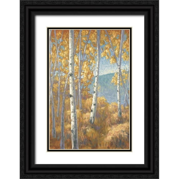 Macnab, John 17x24 Black Ornate Wood Framed with Double Matting Museum Art Print Titled - Aspen Forest I
