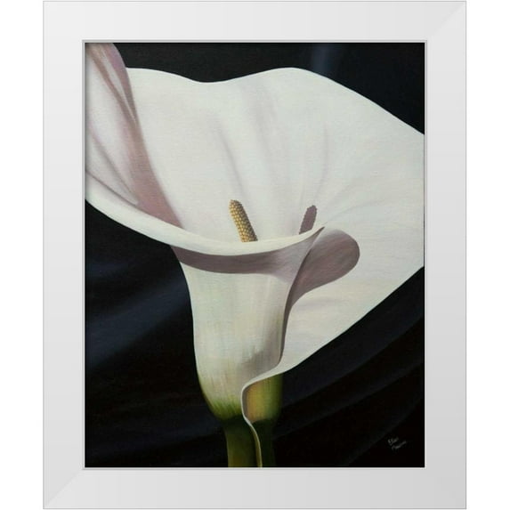Macoce, Ellen 26x32 White Modern Wood Framed Museum Art Print Titled - Black Tie Lily