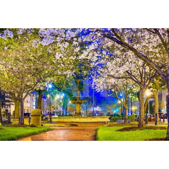 Macon, Georgia, USA Downtown with Spring Cherry Blossoms at 3Rd Street Park, Botanical Unframed Photographic Print Wall Art by SeanPavonePhoto Sold by ArtCom