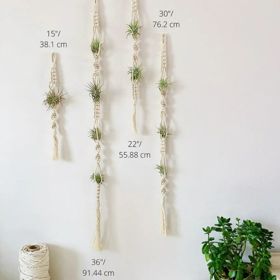 Macrame Air Plant Hanger Hanging Air Plant Holder Airplants Pineapple Display Wall Planter Boho Flower Woven Basket Balcony Gift