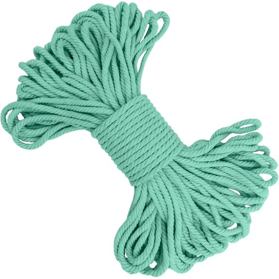 Macrame Cord 5mm x 22 Yards, Thick Rope Yarn Natural Cotton Cord, Colored Craft String for Plant Hanger, Wall Hanging, DIY Crafts, Knitting, Home Décor (Mint Green) Mint Green 5mm*22yards