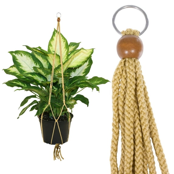 Macrame Plant Hanger - 36 Inches Long, Indoor & Outdoor - Multiple Color Options