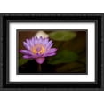 thumbnail image 1 of Macro Bloom VI 2x Matted 24x18 Black Ornate Framed Art Print by Millet, Karyn, 1 of 2