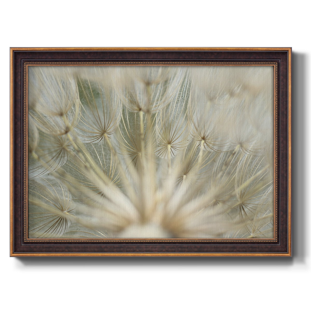 Macro Dandelion IV Premium Framed Canvas- Ready to Hang