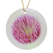 3drose, Macro Design of Flower Blooms Blossom Gardening, Circle Porcelain Ornament
