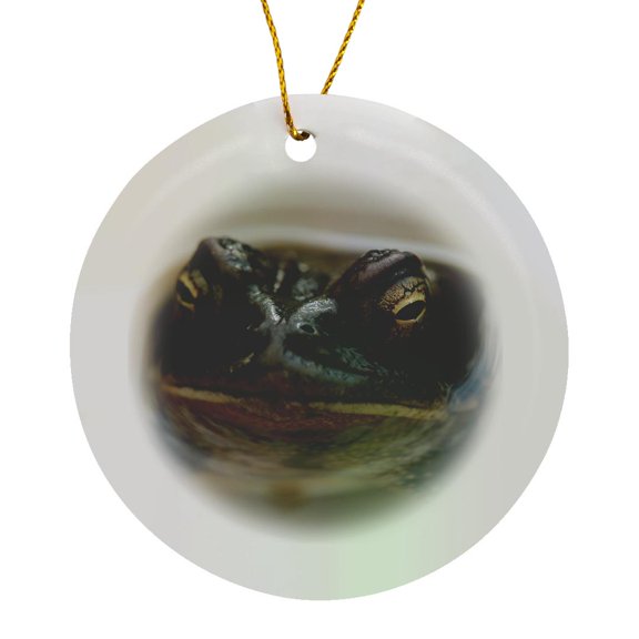 3drose, Macro of a Southern Toad at the Edge of a Pond Staring at the Camera., Circle Porcelain Ornament