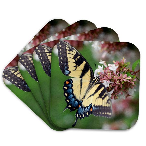 3drose, Macro Photo of a Female Eastern Tiger Swallowtail Pollinating Abelia., Set of 4 Coasters - Soft