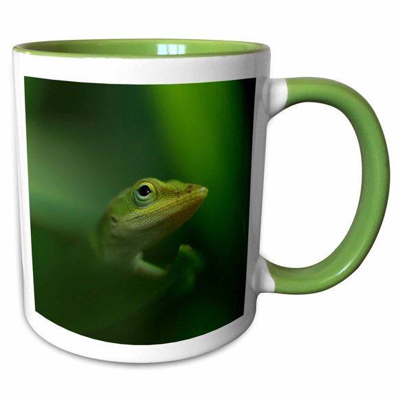 3drose, Macro Photo of a Green Anole Lizard Blending in with Its Surroundings., 11oz Two-tone Green Mug