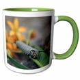 thumbnail image 1 of 3drose, Macro Photo of a Monarch Caterpillar Munching of Tropical Milkweed., 11oz Two-tone Green Mug, 1 of 6
