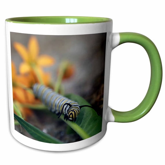 3drose, Macro Photo of a Monarch Caterpillar Munching of Tropical Milkweed., 11oz Two-tone Green Mug