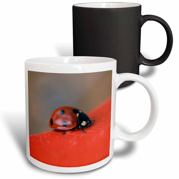 3drose, Macro Photo of Ladybug on the Edge of the Red Roof of a Bee House., 11oz Magic Transforming Mug
