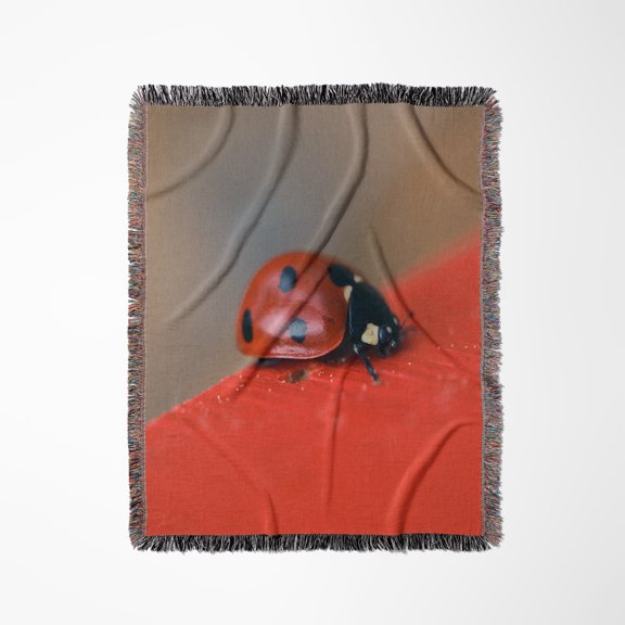 Macro Photo Of Ladybug On The Edge Of The Red Roof Of A Bee House., Woven Blanket