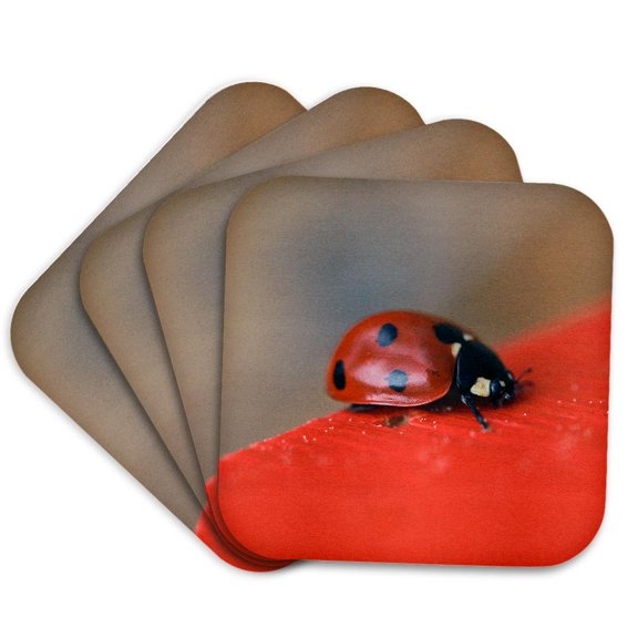 3drose, Macro Photo of Ladybug on the Edge of the Red Roof of a Bee House., Set of 4 Coasters - Soft