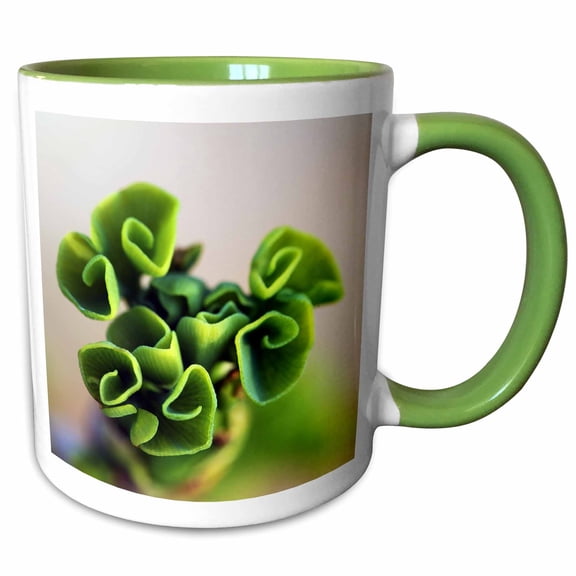 3drose, Macro Photo of the Leaves from a Ginkgo Biloba Jade Butterflies Tree., 11oz Two-tone Green Mug